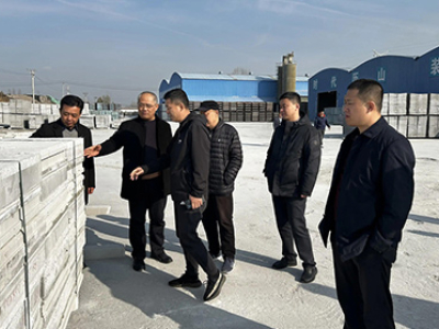 Provincial Housing and Urban-Rural Development Bureau Leaders Visit Our Factory 